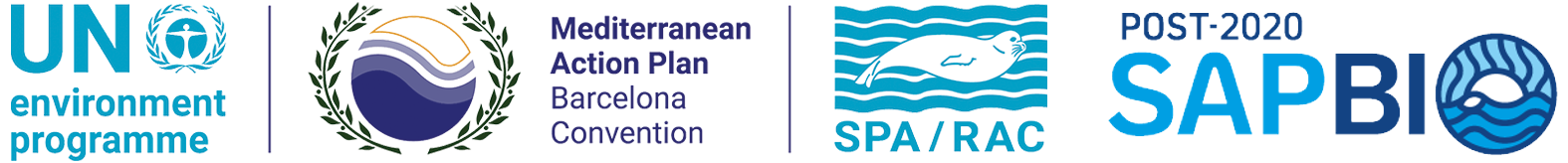 The assessment of the collective implementation of the Post 2020 SAPBIO - National Scope Actions
